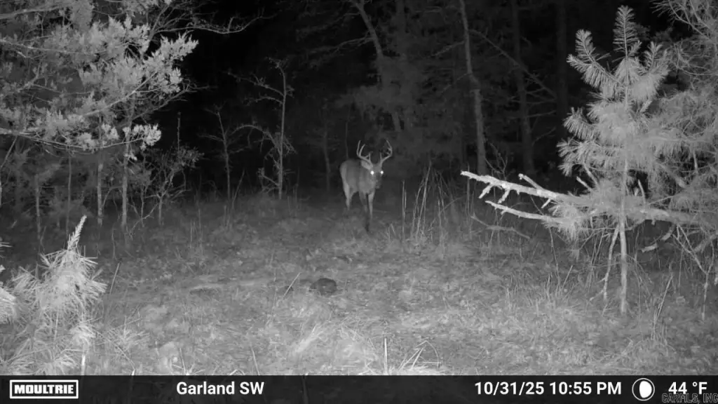 Picture 4