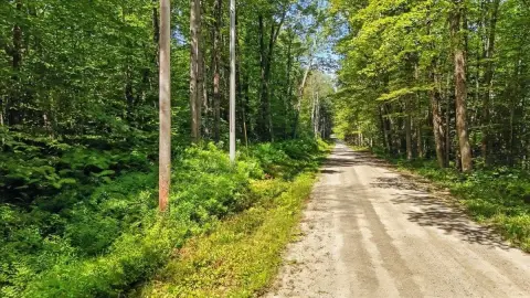 Grafton, VT 40-Acre Land Parcel