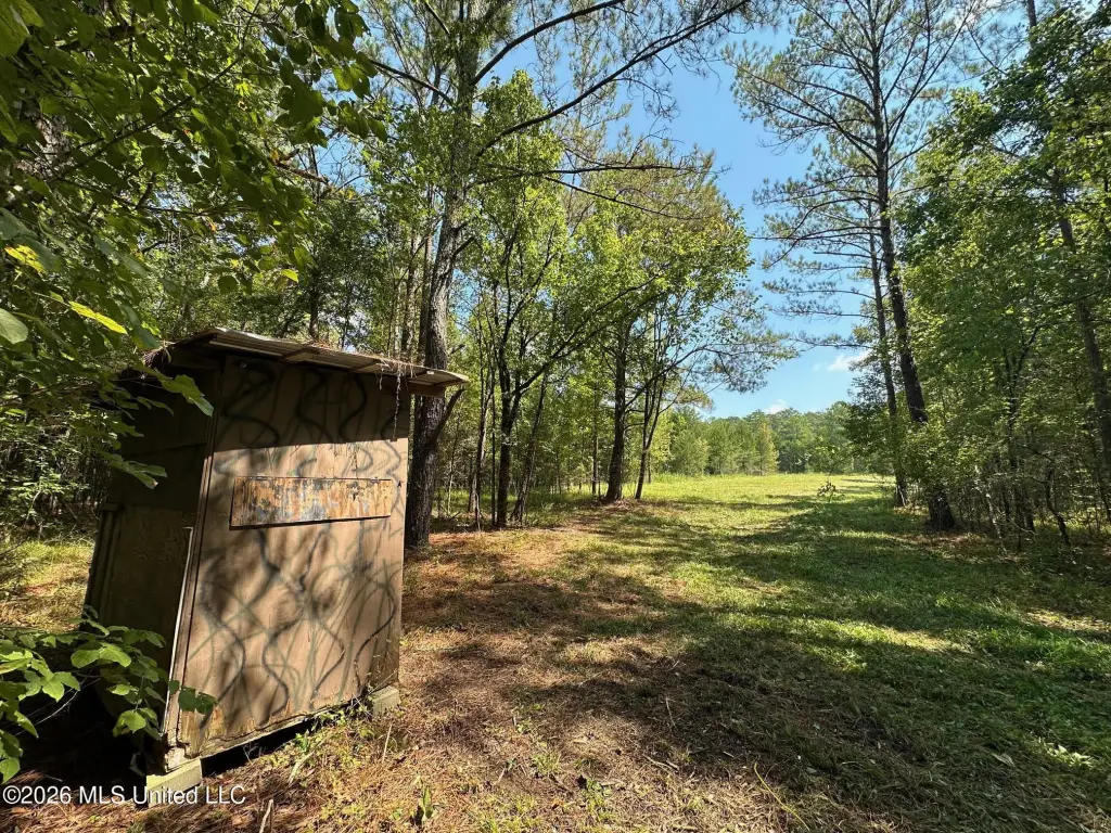Picture 12