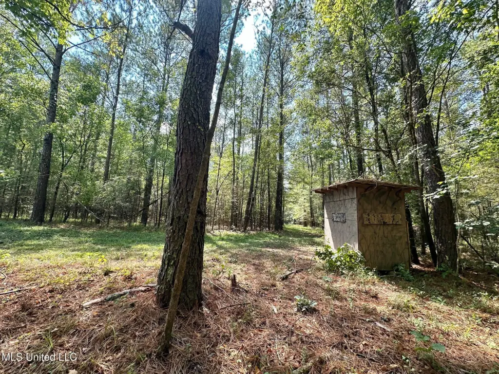 Picture 23
