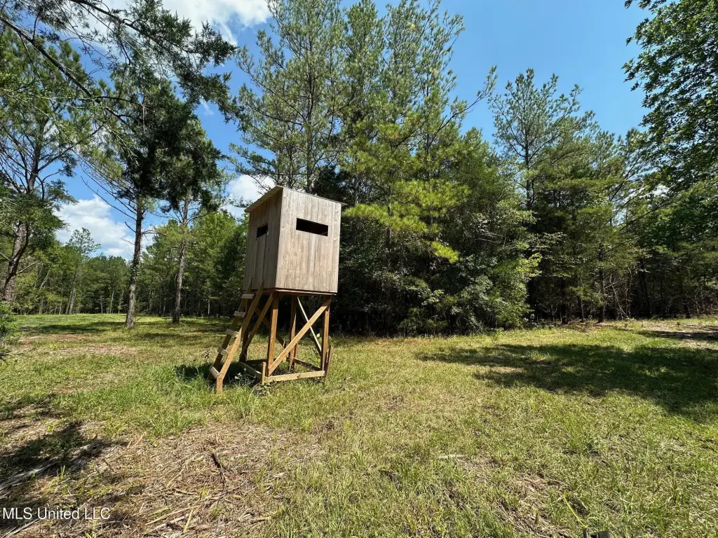 Picture 26
