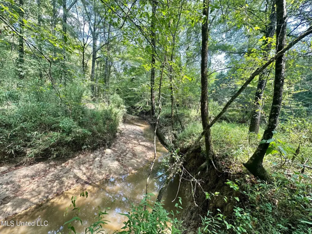 Picture 18