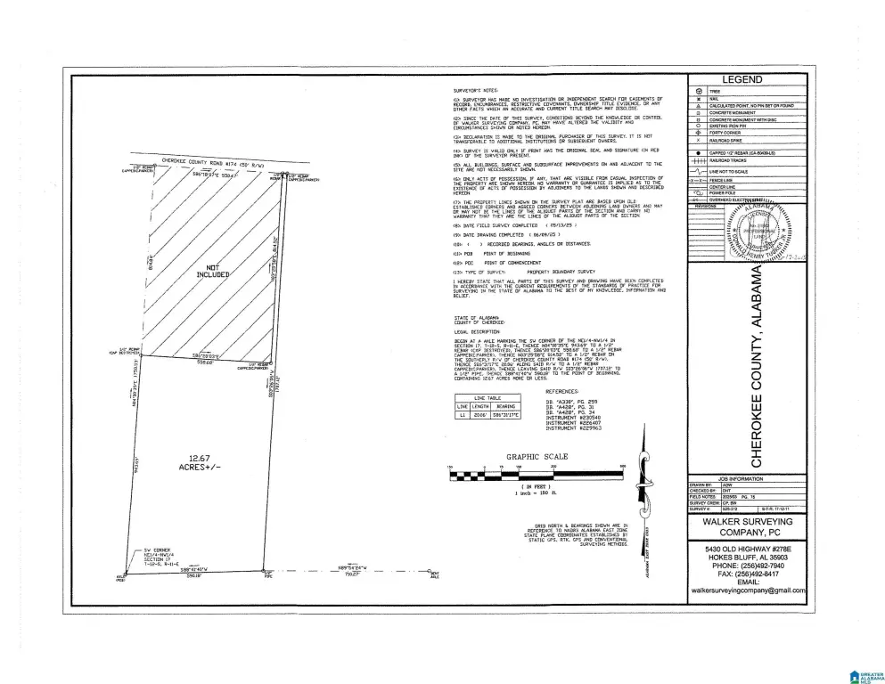 Picture 5