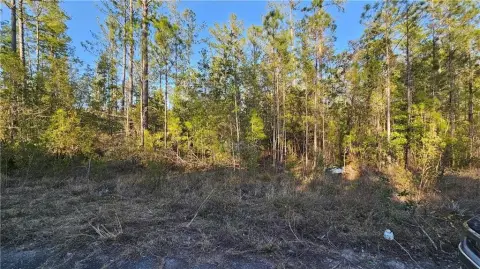 Residential Lot in Satilla Plantation