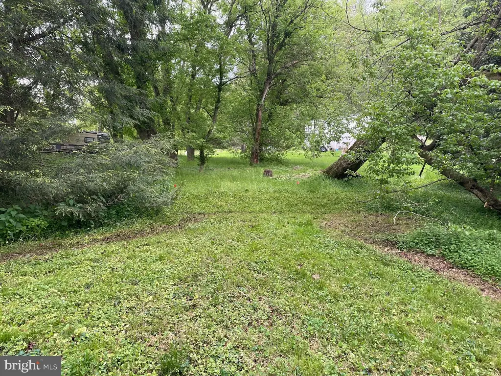Picture 23
