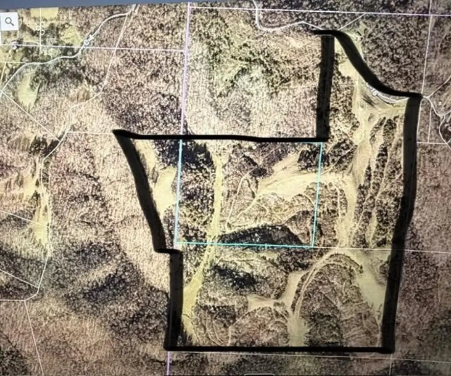 Picture 25