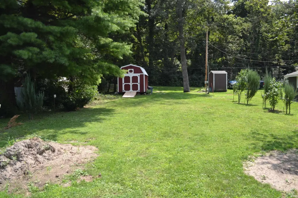 Picture 11