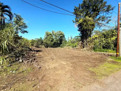 Cleared Land Near Hawaiian Beaches Park