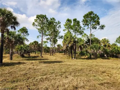 5-Acre Off-Grid Naples Land