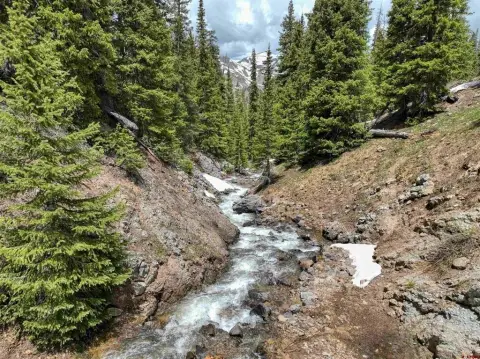 Silverton Mining Claim with National Forest Border