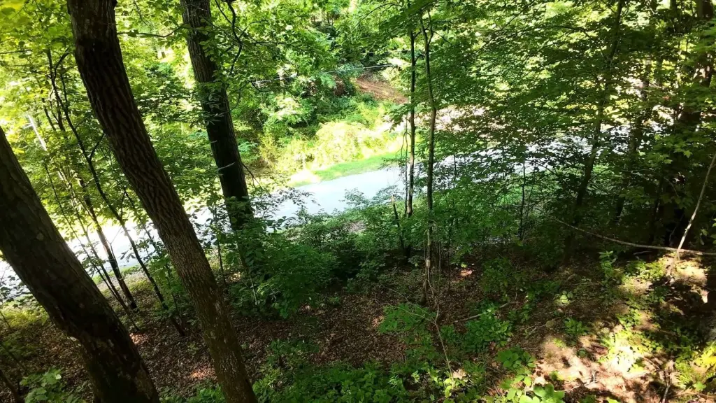 Picture 19