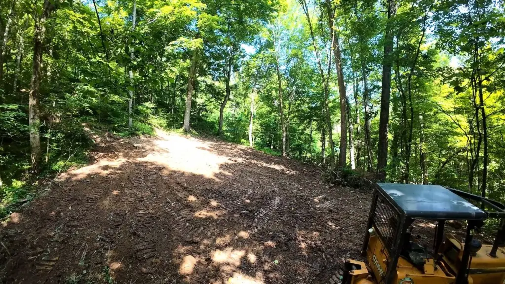 Picture 15