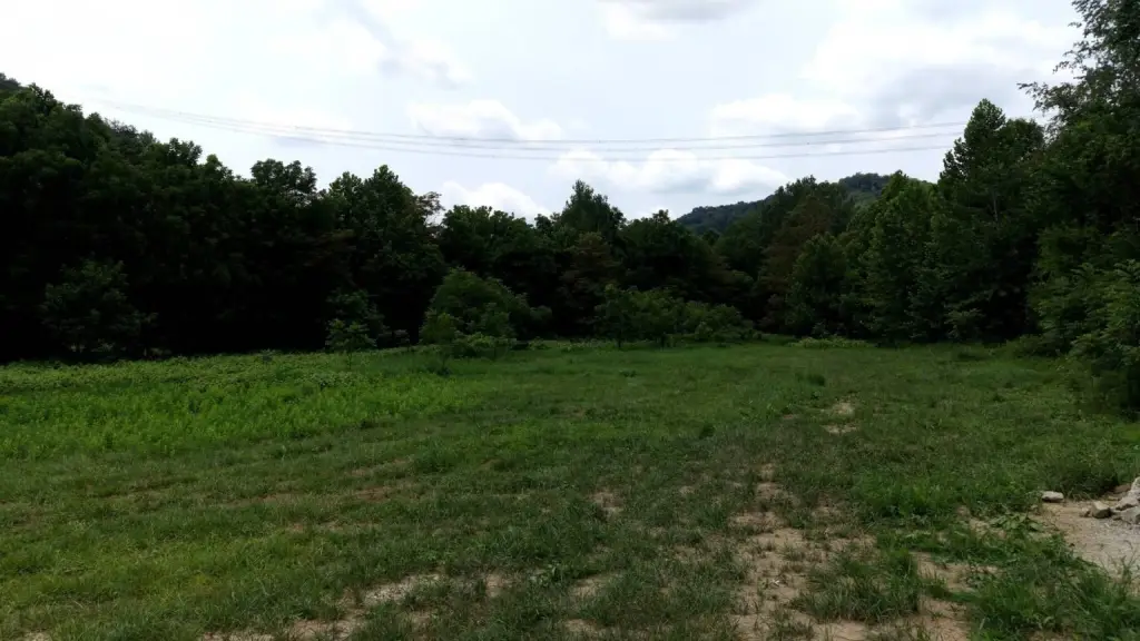 Picture 14