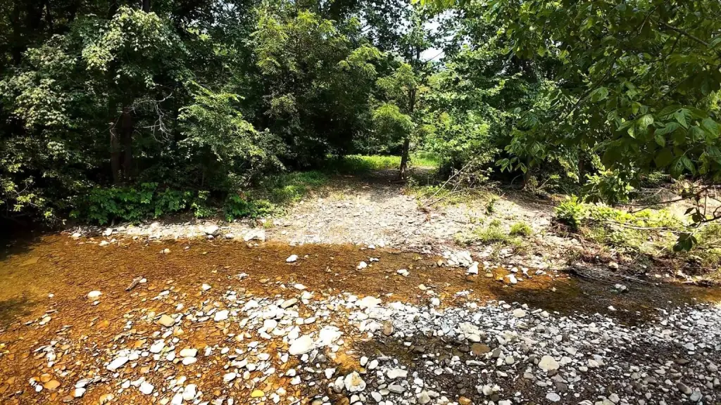 Picture 29