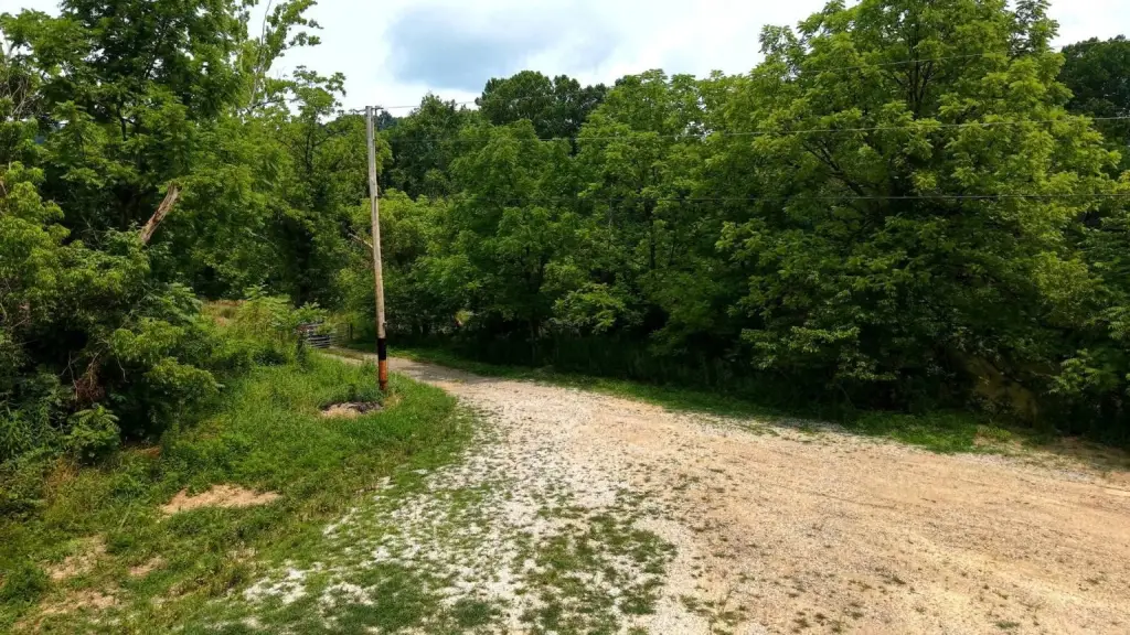 Picture 19