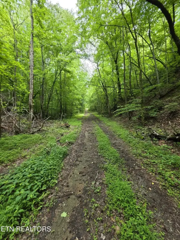 Picture 10