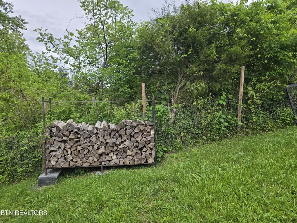 Picture 16