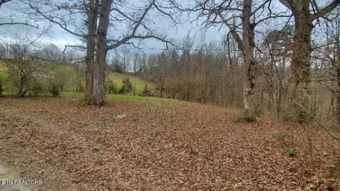 Land in Oneida, Tennessee