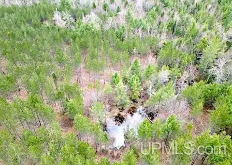 40 Acres Near National Forest