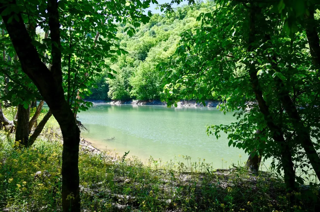 Picture 20