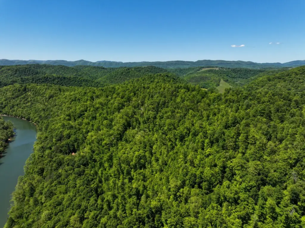 Picture 24