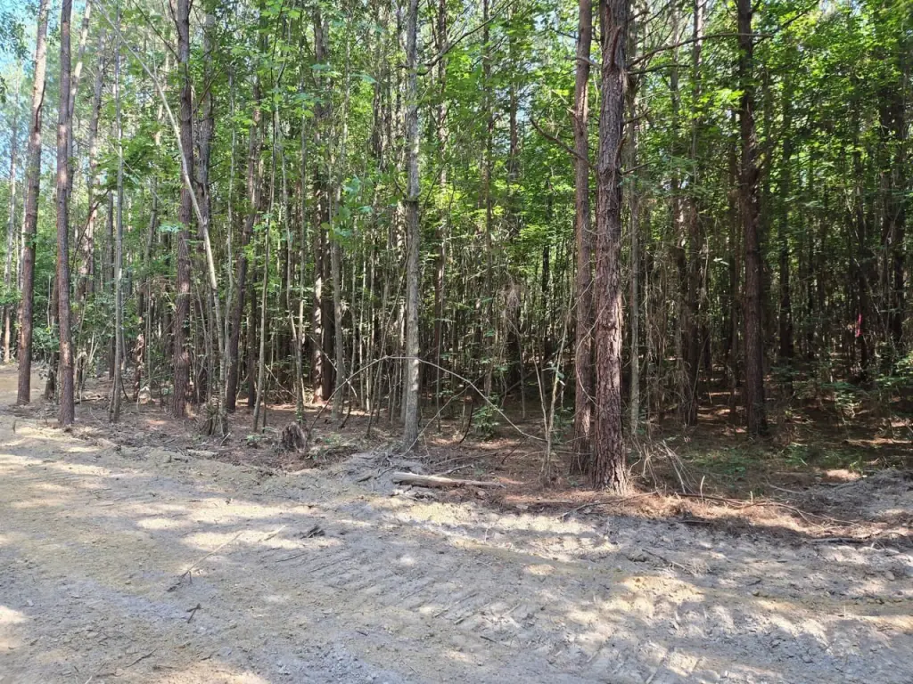 Picture 15