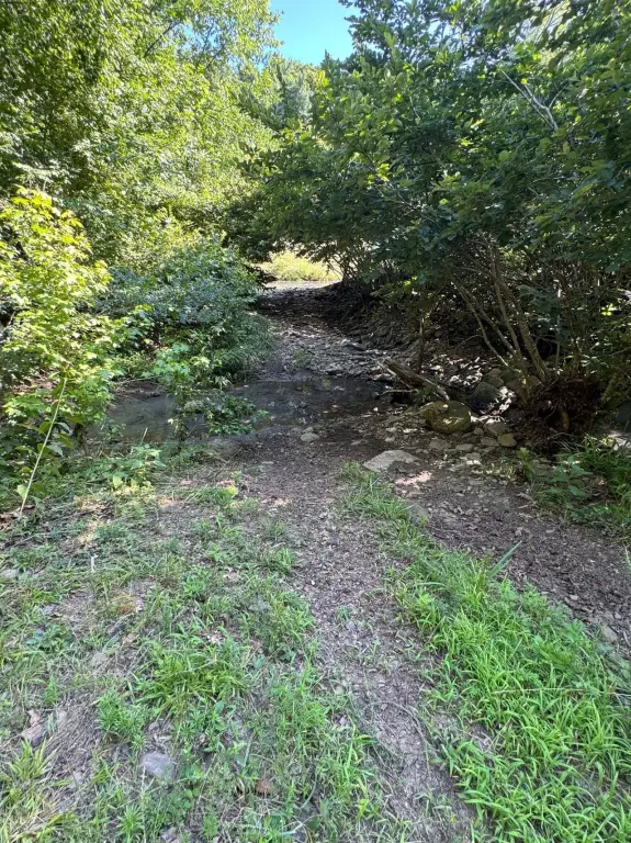 Picture 40
