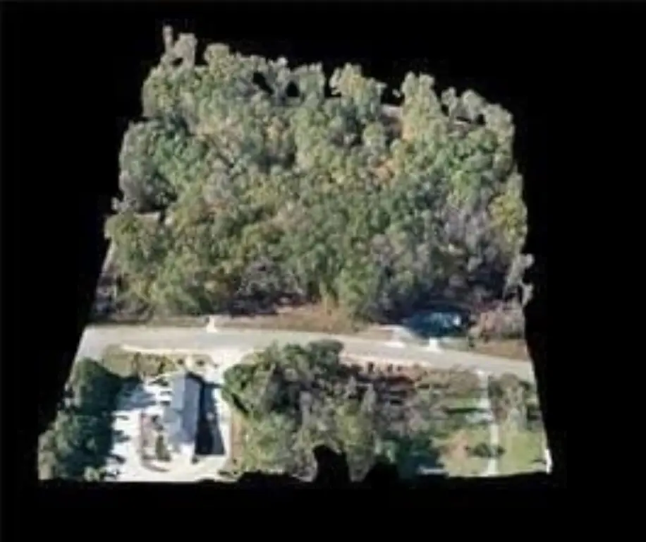 Picture 10