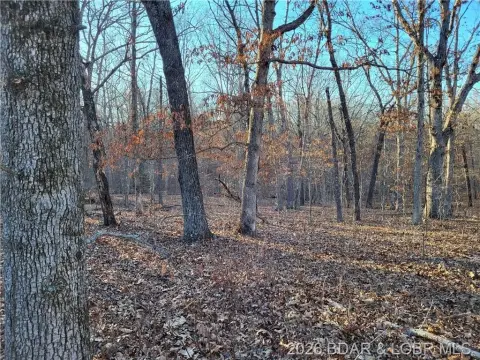 Wooded Land in Gated Community