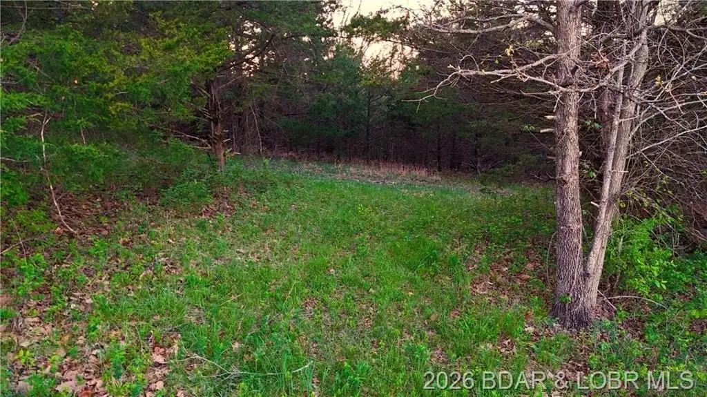 Picture 13