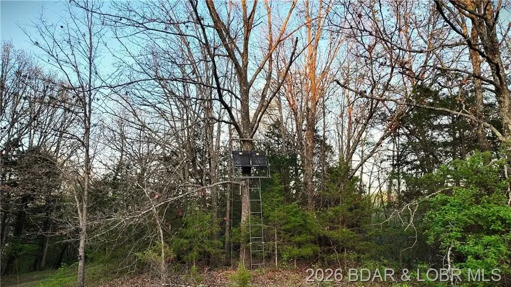 Picture 11
