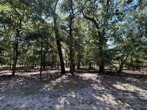 Treed Lot in Holly Lake Ranch