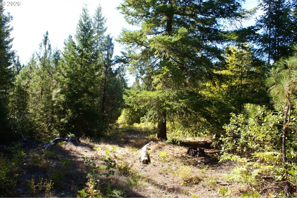 Picture 8