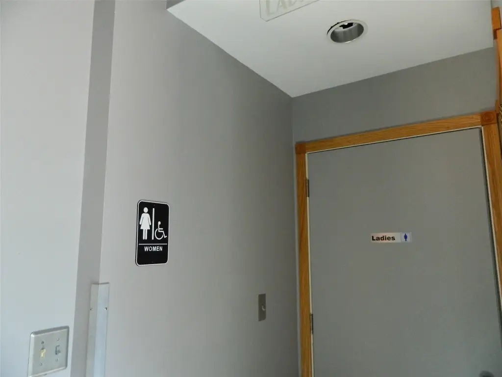 Picture 8