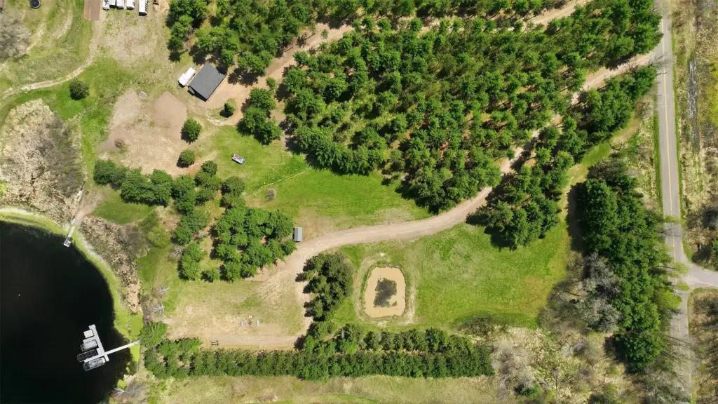 Picture 25