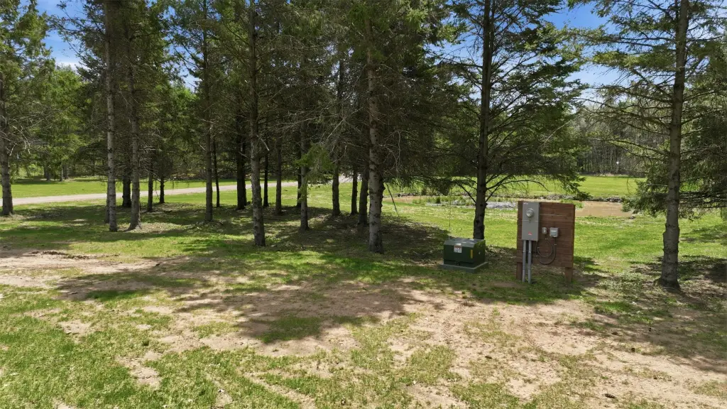 Picture 13