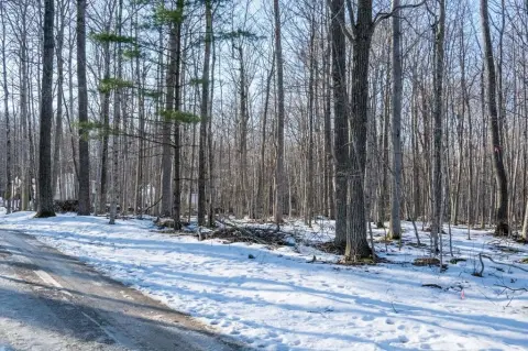 Wooded Lot Near Town Amenities