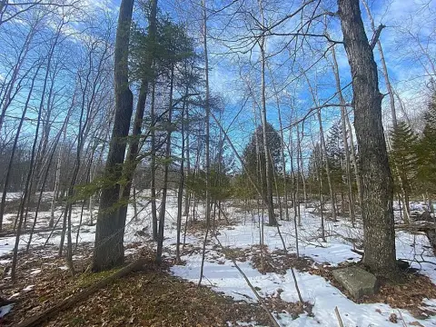 Fish Creek Wooded Homesite