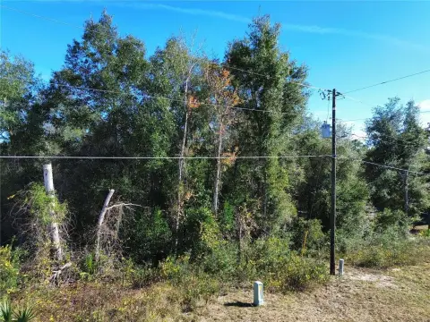 Wooded Corner Lot in Silver Springs