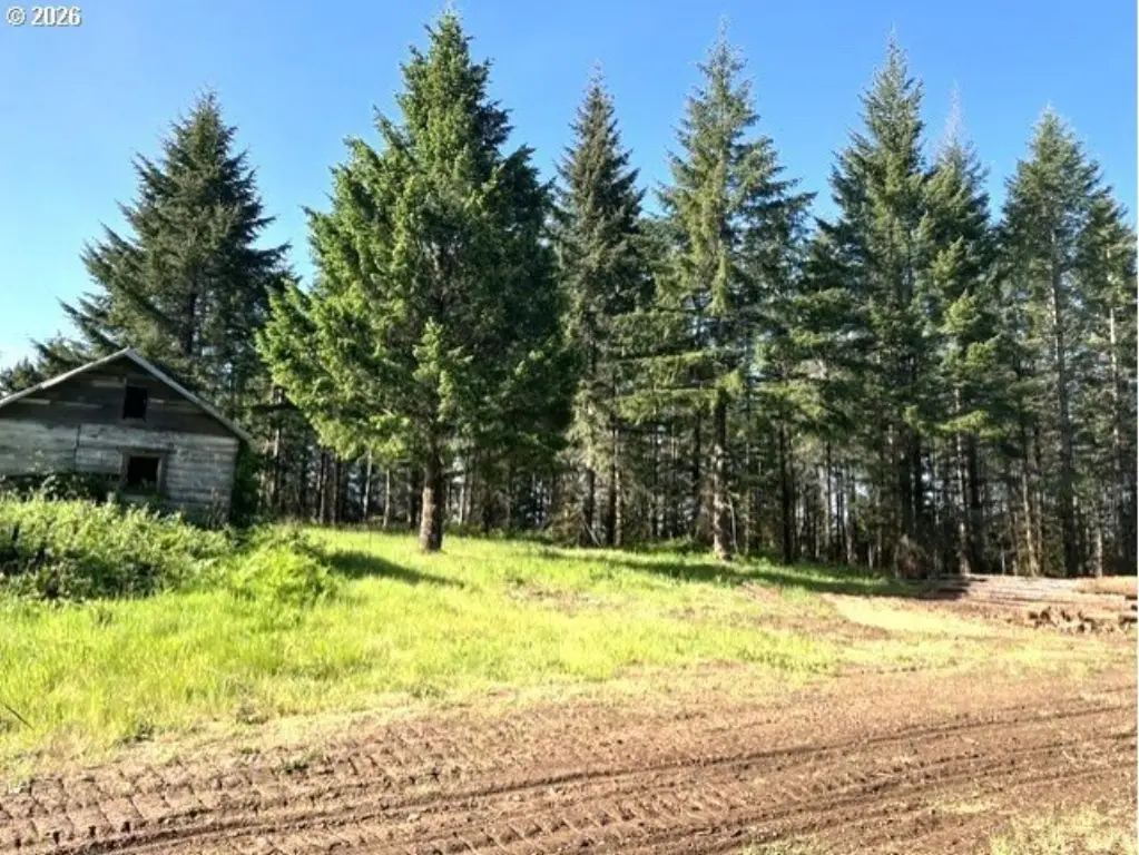 Picture 2