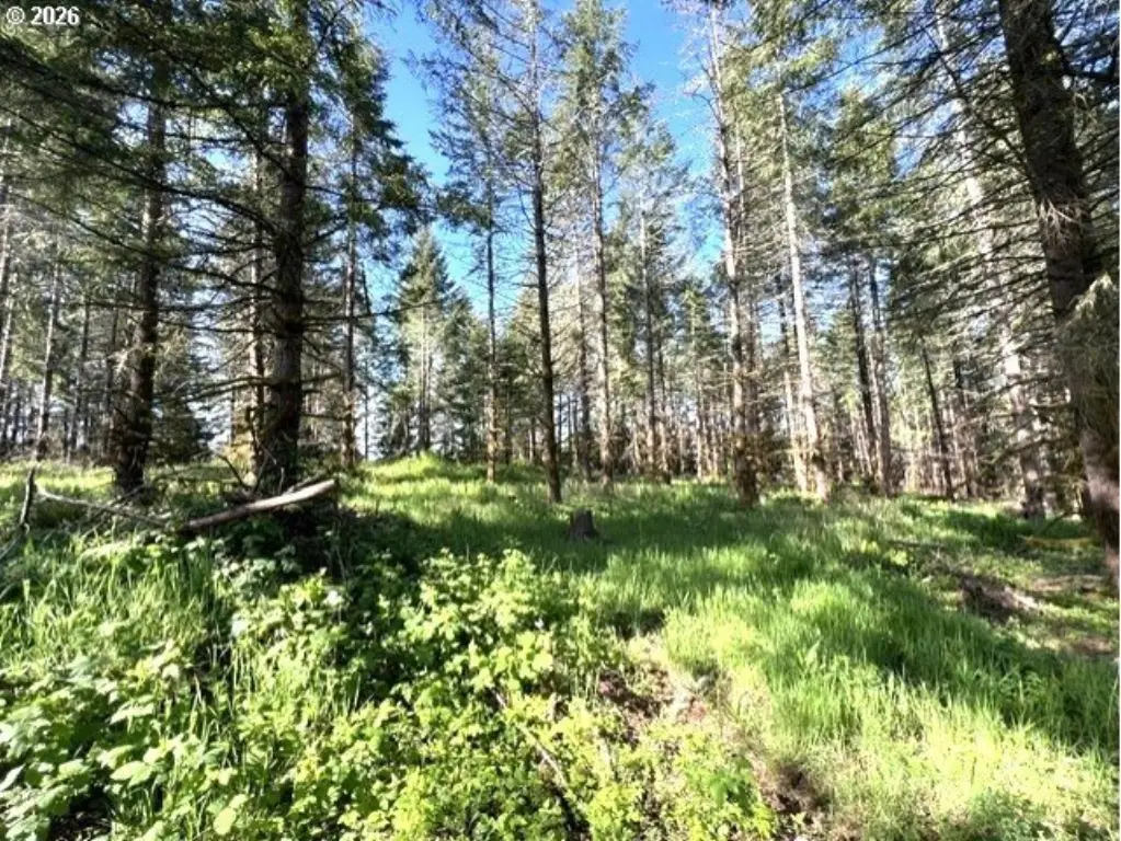 Picture 7