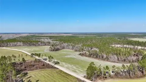 97 Acres Georgia Farmland Opportunity
