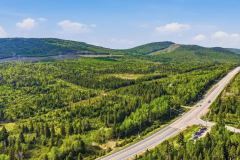 Wooded Mixed-Use Commercial Land