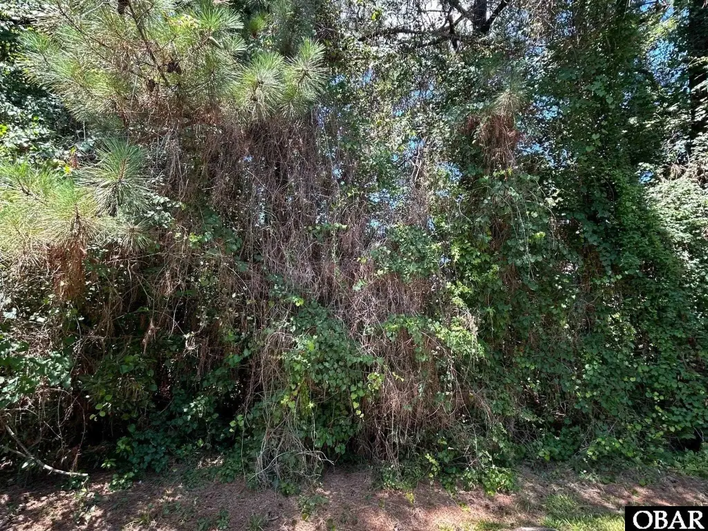 Picture 21