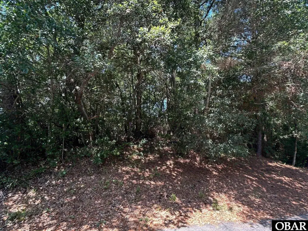 Picture 19
