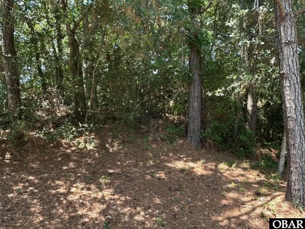 Picture 22