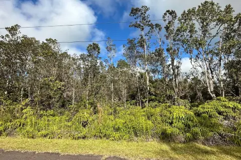 Vacant Land with Flag Lot Included