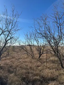 Snyder, TX Five Acre Lot