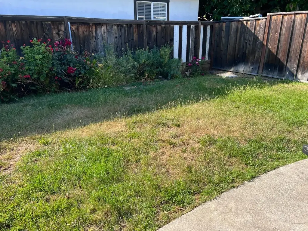 Picture 32