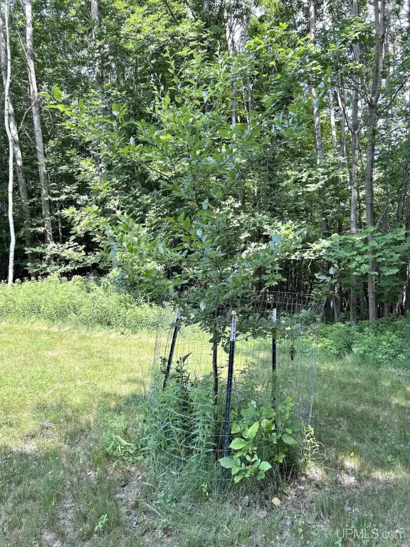 Picture 22